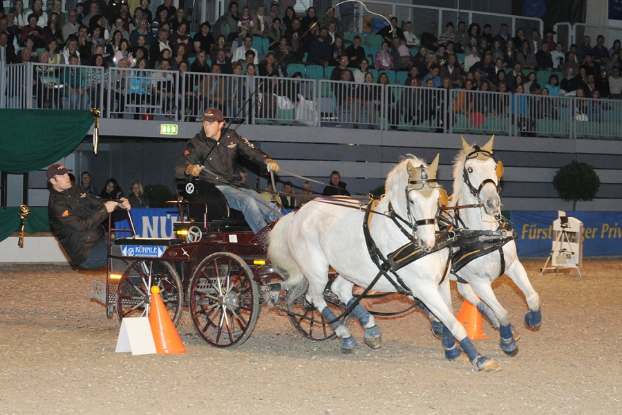 馬展，德國馬展，馬匹比賽